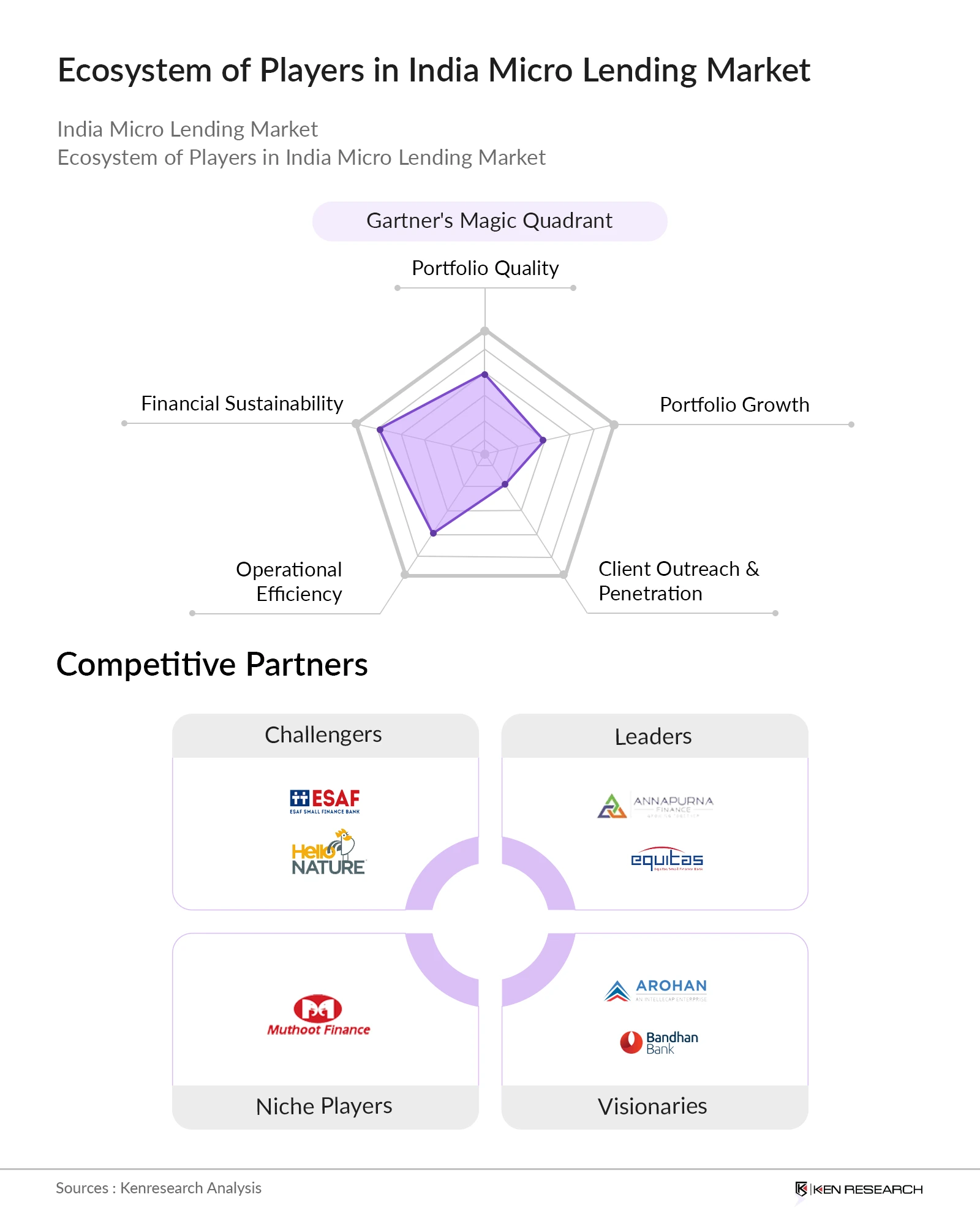 Ecosystem of Top Players in India Micro Lending Market